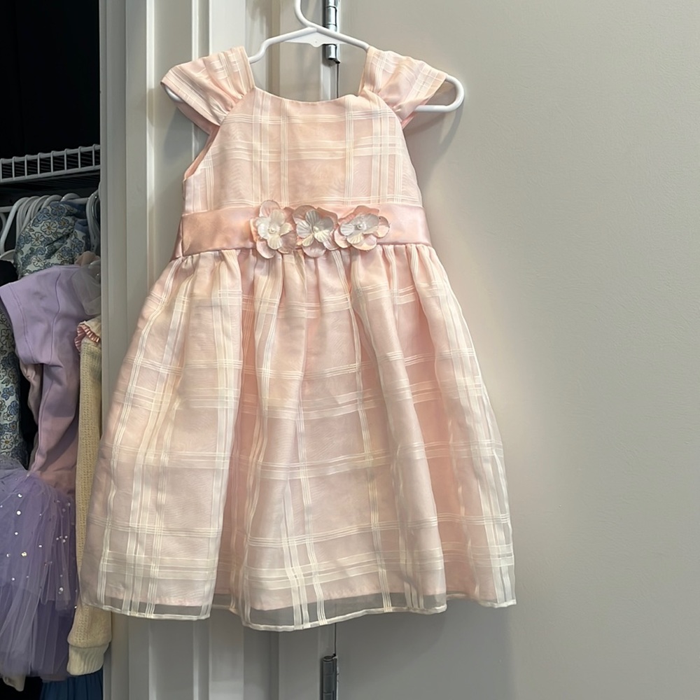 Pink Dress